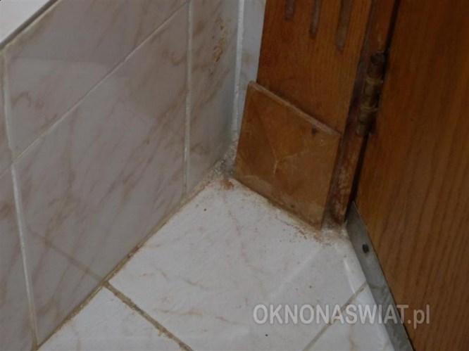 egipt blue reef reso28